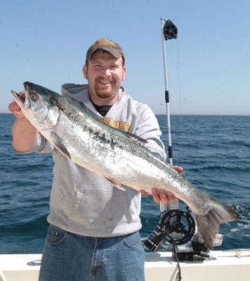 Look at this a Trophy size Coho Salmon ( about 13lbs ) Caught aboard "Nicole Lynn" 41ft Viking Yacht of Albatross Fishing Charters! Good Job Joe.
